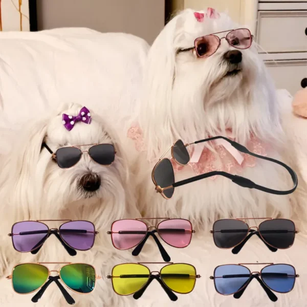 משקפי שמש לכלבים דגם מישל